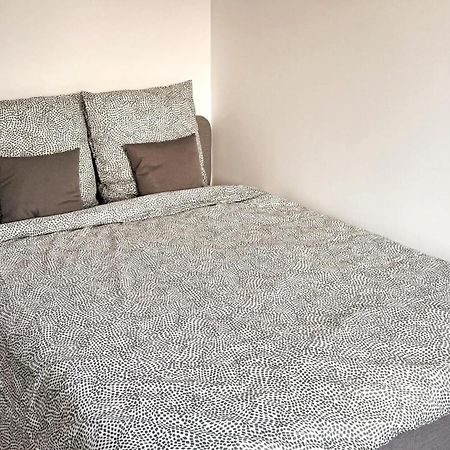 Nancy Centre Gare Appartement Renove 3 Chambres Ngoại thất bức ảnh